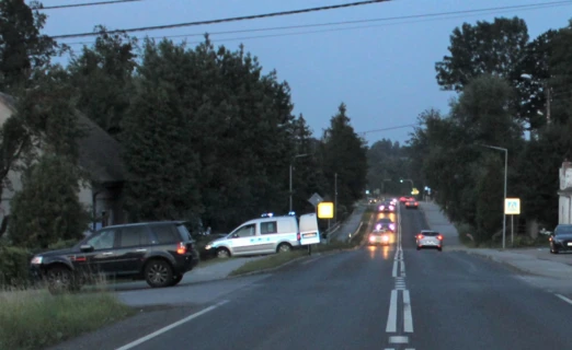 Do kolizji doszło na drodze krajowej nr 52. Fot. Policja