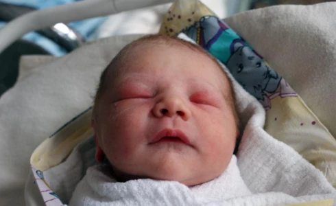 Liliana<br>Pająk
