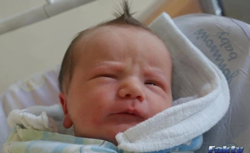 Aleksander<br>Trzebunia