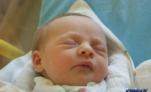 Wiktoria<br>Grodzicka