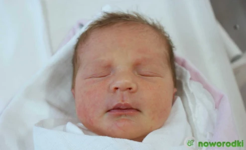 Hanna<br>Maria Maciocha