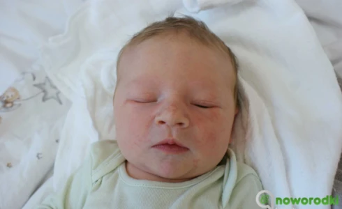 Aleksander<br>Dybczyński