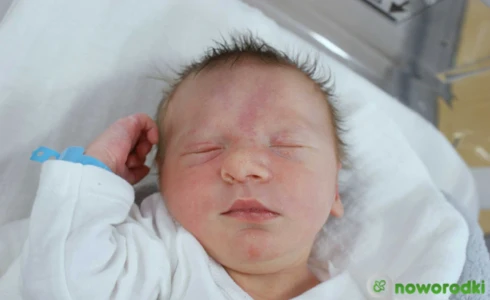 Nikodem<br>Domagała