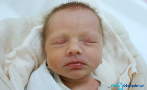 Jagoda<br>Joanna Czopek