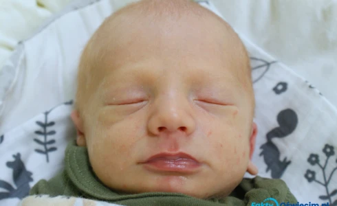 Filip<br>Mikołaj Kozłowski