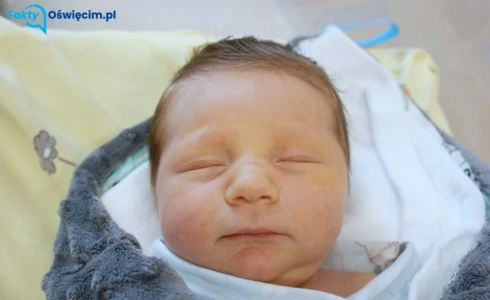 Aleksander<br>Babiński