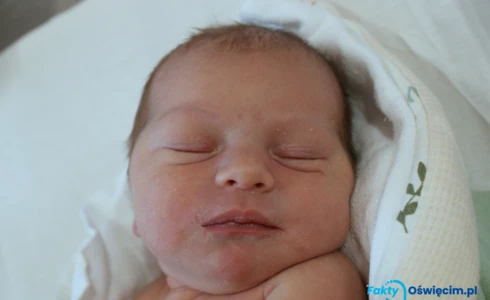 Amelia<br>Kotsiubailo