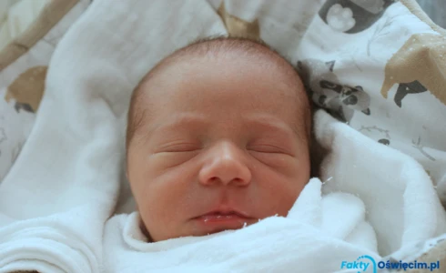 Aleksander<br>Pawlik