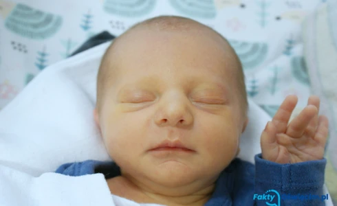 Mikołaj<br>Hamerlik