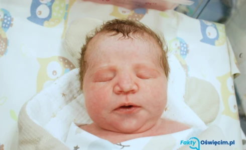 Liliana<br>Adrianna Isula