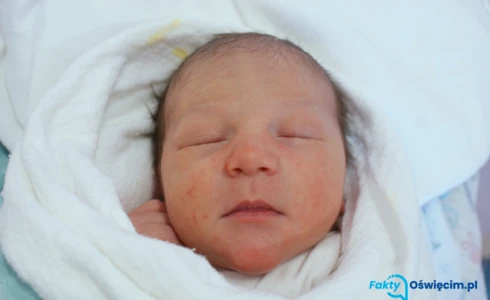 Julian<br>Orlikowski