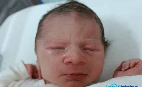 Radosław<br>Krawczyk