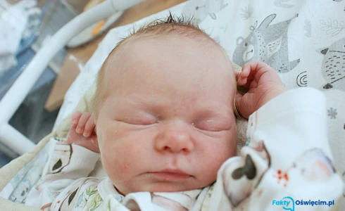 Jagoda<br>Kazimiera Kotwica