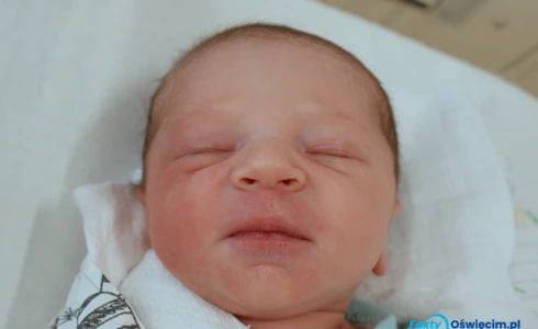 Nikodem<br>Maksymilian Wysogląd