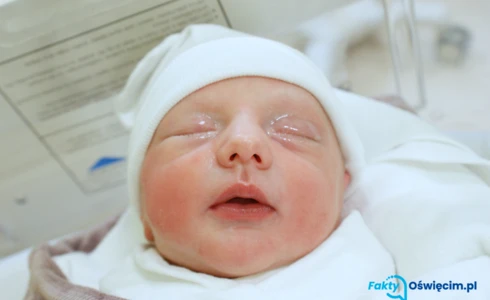 Bruno<br>Breitscheidel