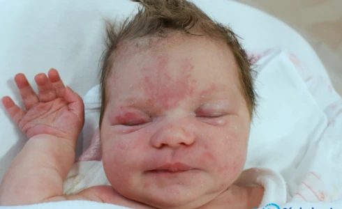 Klara<br>Grażyna Pawłowska