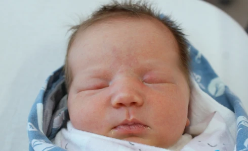 Tola<br>Melody Czarnik