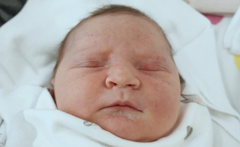 Daniel<br>Mysiuk
