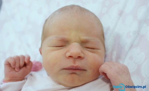 Zuzanna<br>Budka