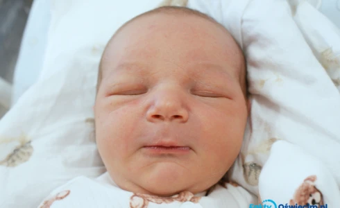 Mykhailo<br>Dovhan