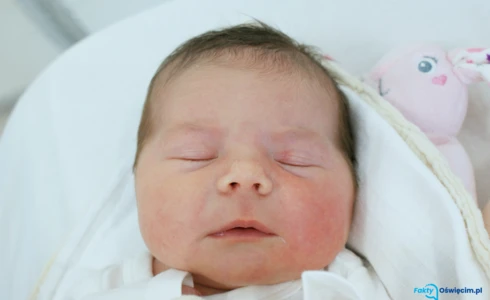 Liliana<br>Krystyna Handzlik