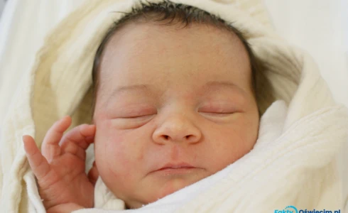 Liliana<br>Czermak