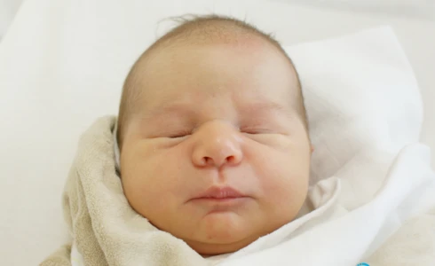 Eliza<br>Chorąży