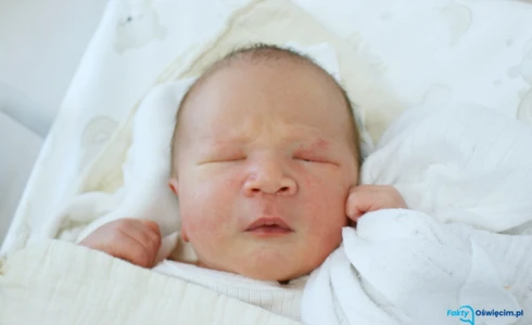 Liam<br>Ma