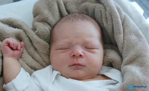 Gabriel<br>Wandor