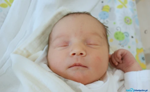 Milena<br>Płonka
