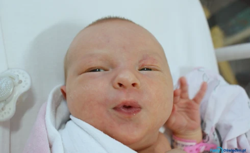 Lila<br>Ptak