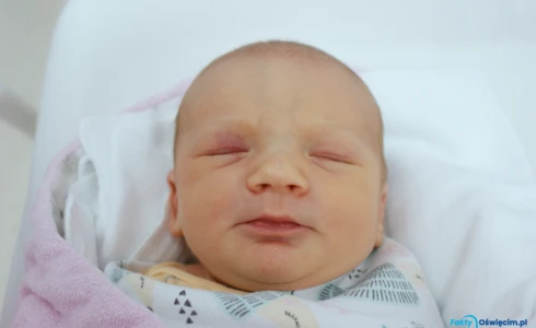 Dorota<br>Żydek