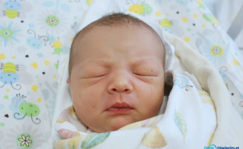 Lena<br>Wieczorek
