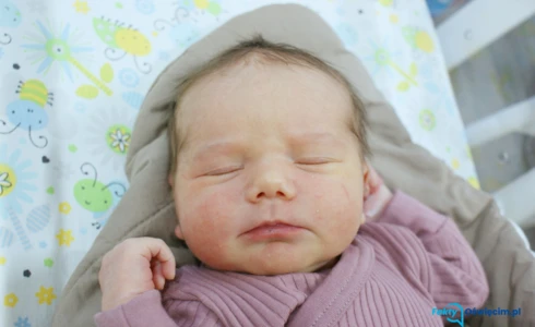 Hanna<br>Myszor