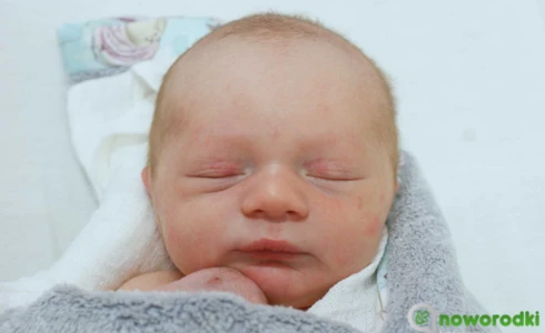 Tymoteusz<br>Waliczek