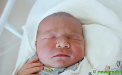 Leon<br>Damian Wawak