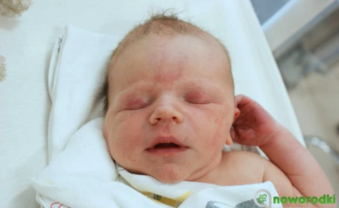 Oliwier<br>Kręcichwost