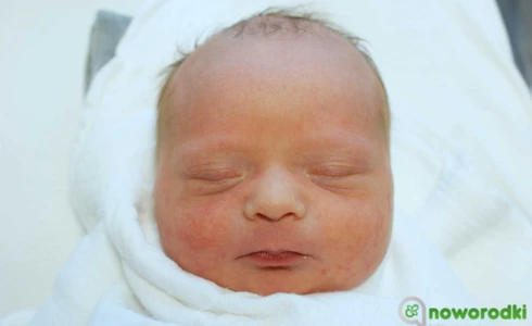 Sebastian<br>Maszczak