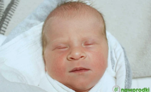 Judyta<br>Miarczyńska