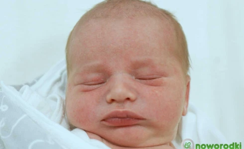 Krzysztof<br>Księżarczyk