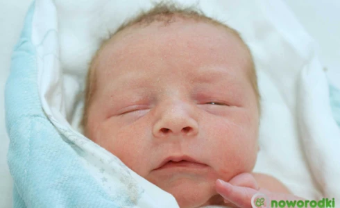 Bartosz<br>Orłowski