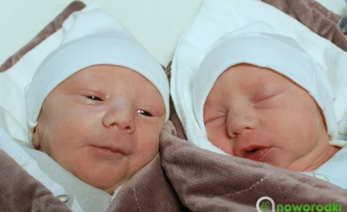 Jan<br>Górowicz i Maksymilian Górowicz