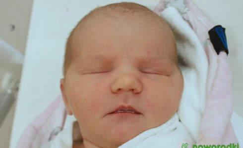 Liliana<br>Anna Socha