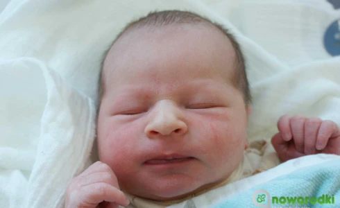 Franciszek<br>Szymon Rzeszutko