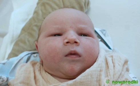 Adam<br>Sylwester Wawak