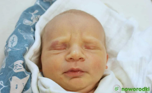 Antoni<br>Dariusz Dusik