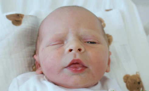 Leoś<br>Krzysztof Kowalówka