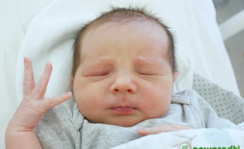 Antonina<br>Zofia Chochoł