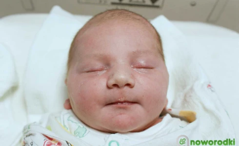 Henryk<br>Wawrzyczek