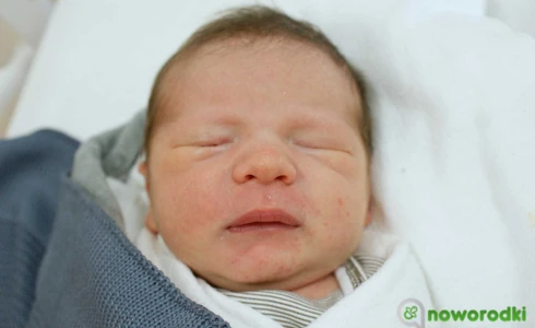 Franciszek<br>Luranc